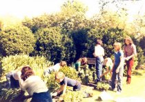 Abram's Delight, yard work